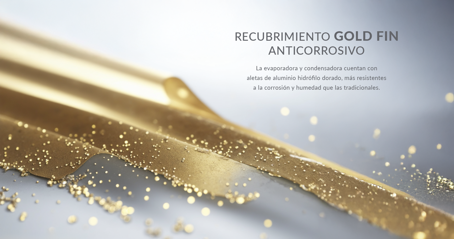 Web Banners Features_GOLD FIN